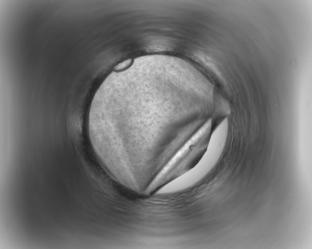 X0000088740539200706212058