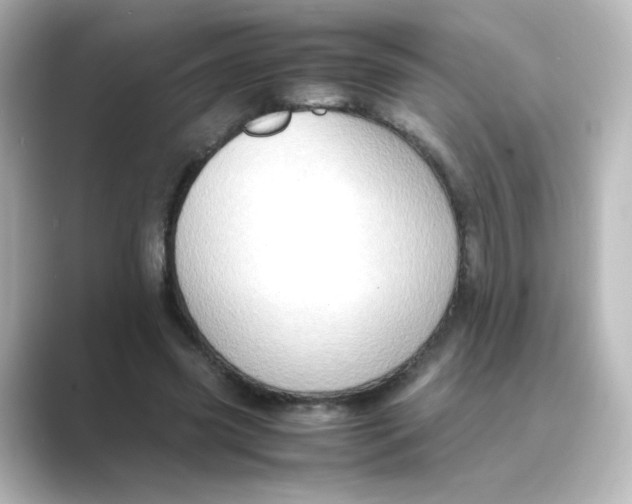 X0000088740541200706212058