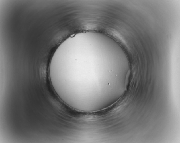 X0000088740542200706212058