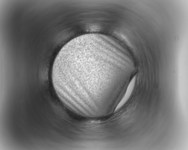 X0000088740543200706212058