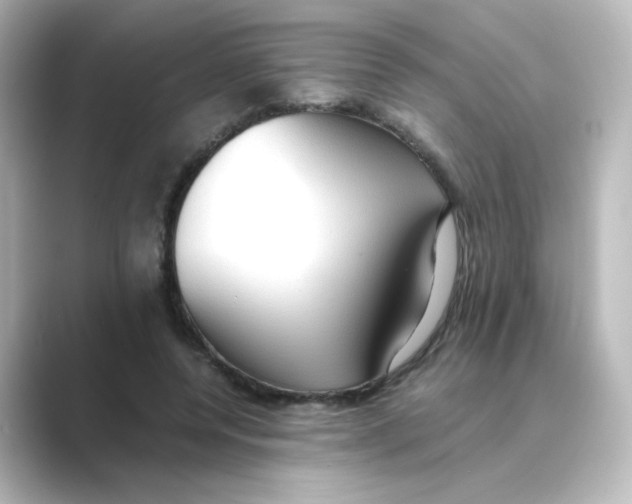 X0000088740544200706212058