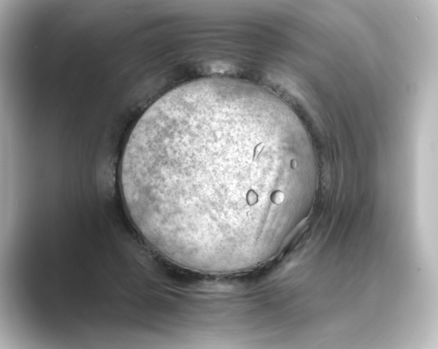 X0000088740545200706212058