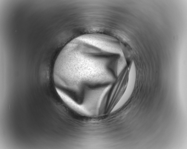 X0000088740546200706212058