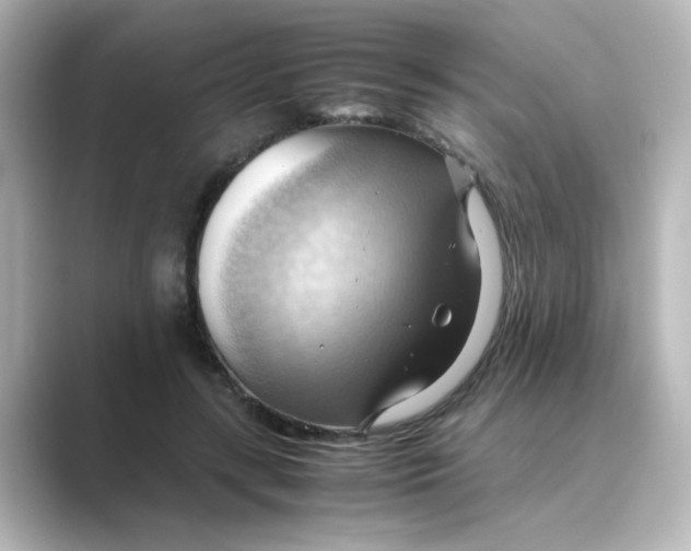 X0000088740547200706212058