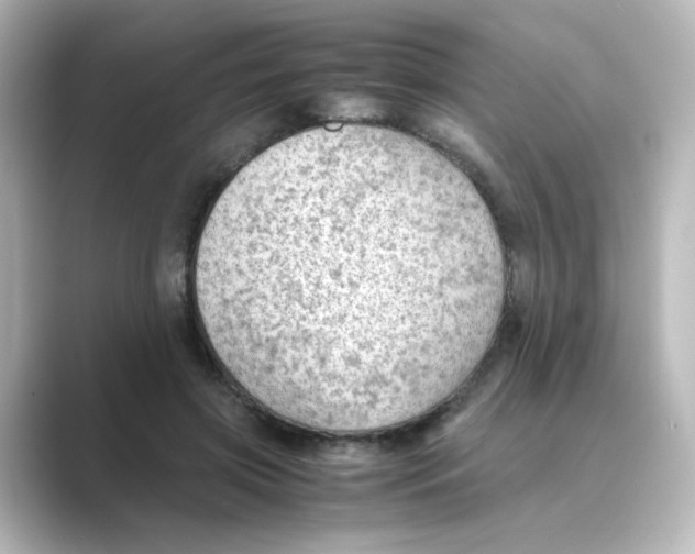 X0000088740549200706212059