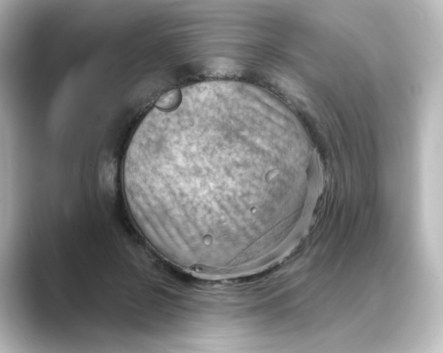 X0000088740550200706212059
