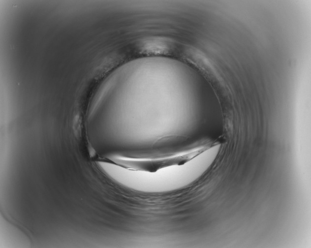 X0000088740551200706212059