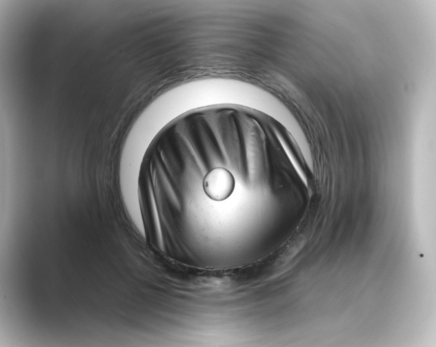 X0000088740552200706212059