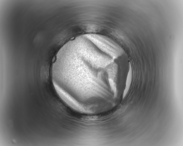 X0000088740554200706212059