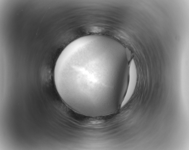 X0000088740555200706212059