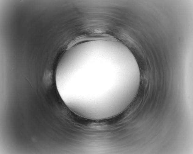X0000088740556200706212059