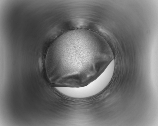 X0000088740558200706212059