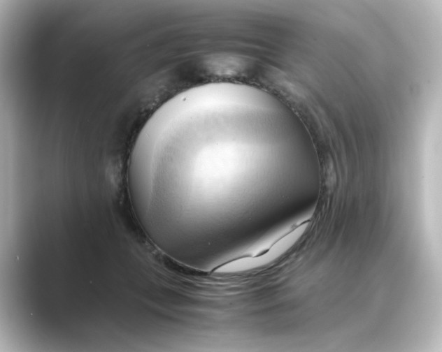 X0000088740559200706212059