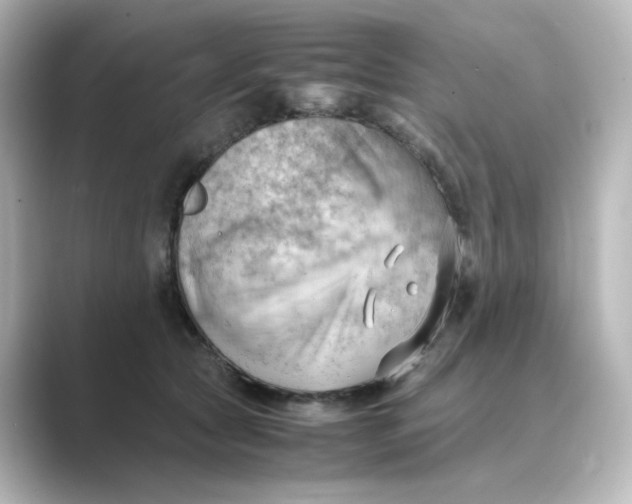 X0000088740561200706212059