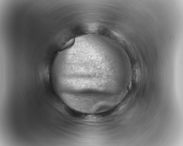 X0000088740562200706212059