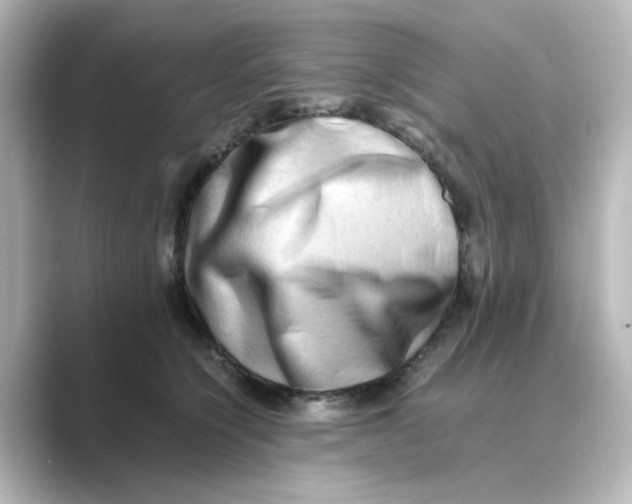 X0000088740564200706212059