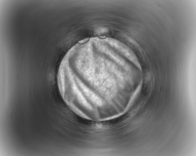 X0000088740565200706212059