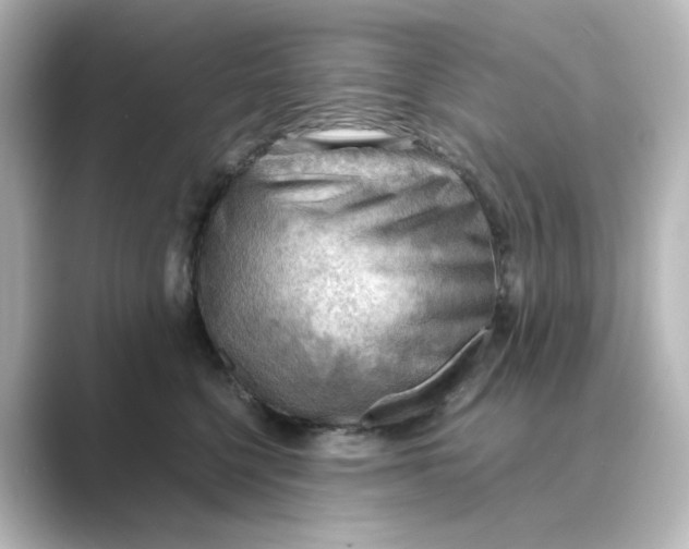 X0000088740568200706212059