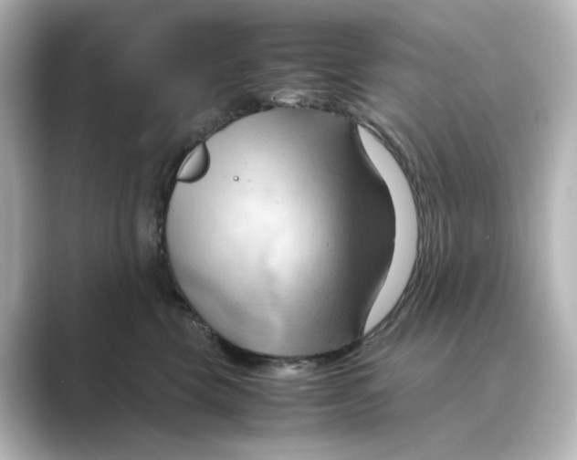 X0000088740569200706212059