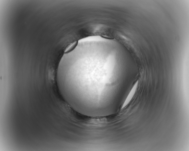 X0000088740571200706212059