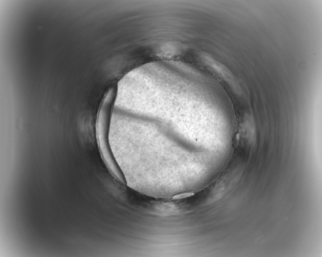 X0000088740572200706212059
