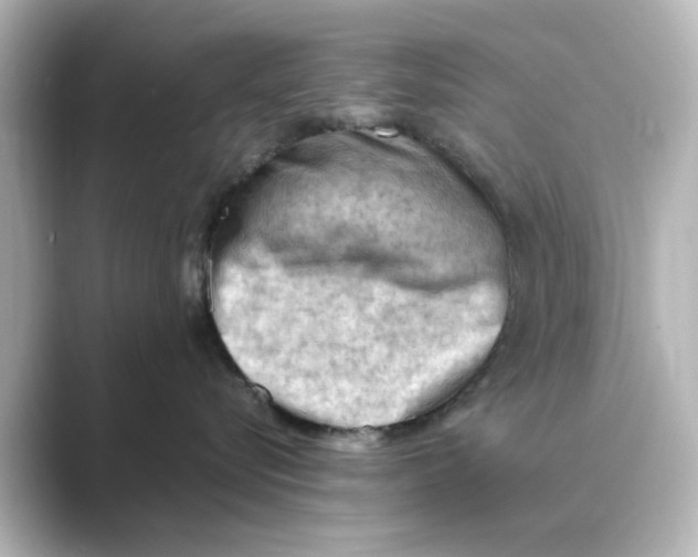 X0000088740576200706212059