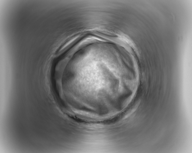 X0000088740577200706212058