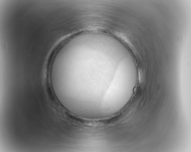 X0000088740579200706212058