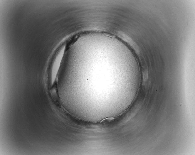X0000088740580200706212058