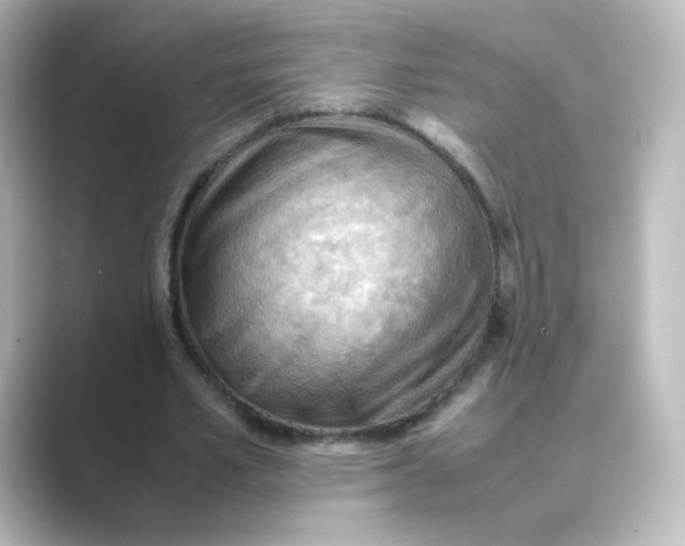 X0000088740581200706212058