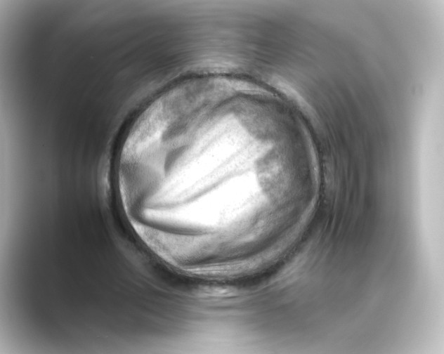 X0000088740582200706212058