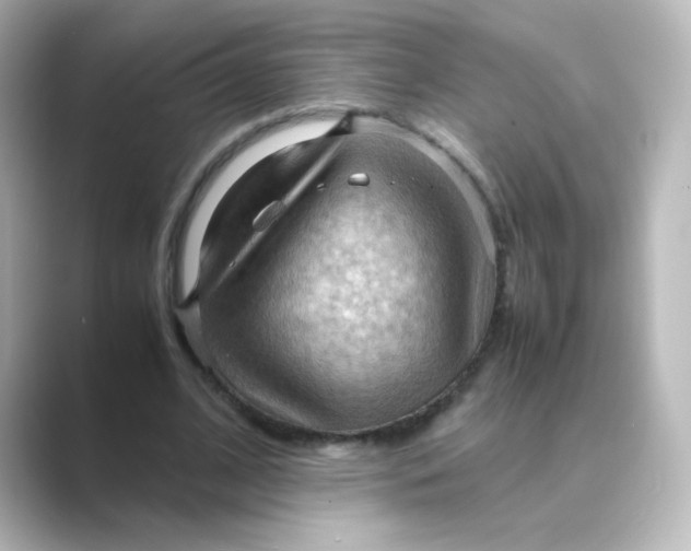 X0000088740584200706212058