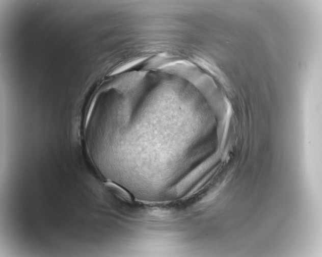 X0000088740585200706212058