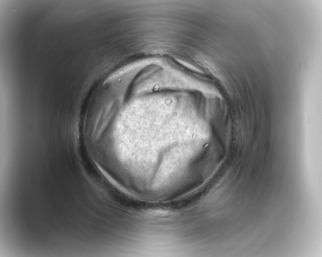 X0000088740586200706212058