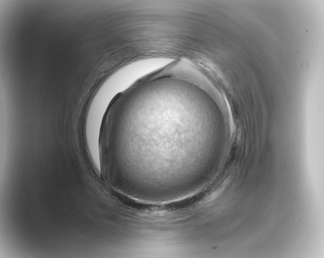 X0000088740589200706212058