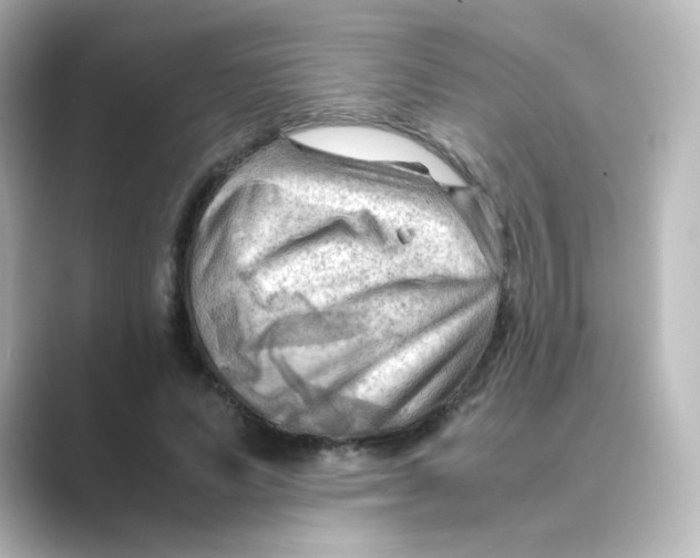 X0000088740591200706212058