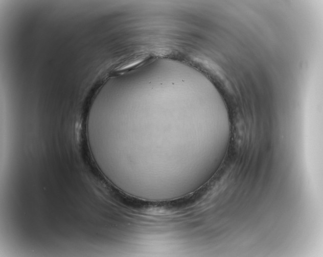 X0000088740596200706212058