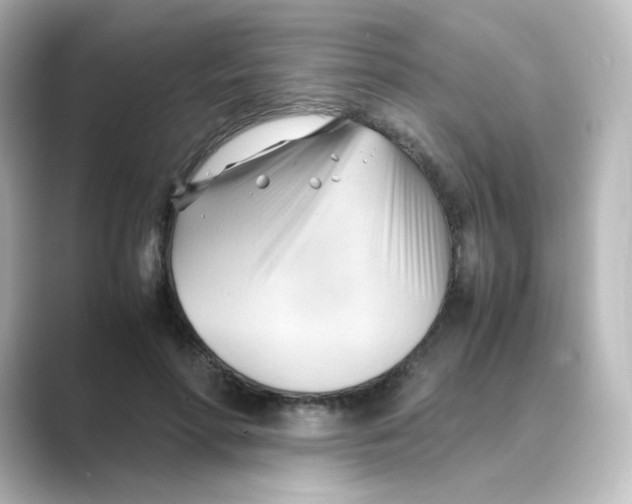 X0000088740598200706212058