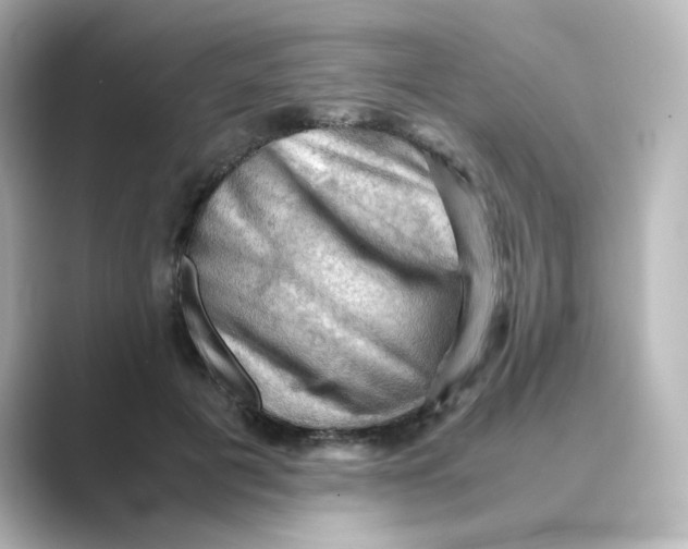 X0000088740601200706212058