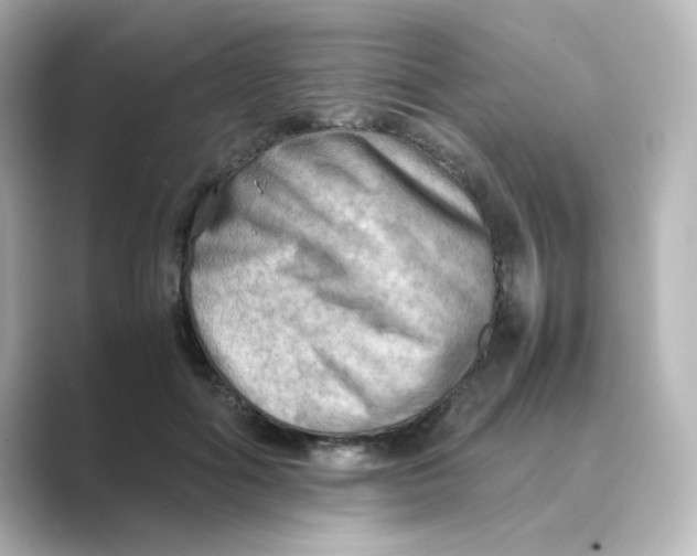 X0000088740602200706212058
