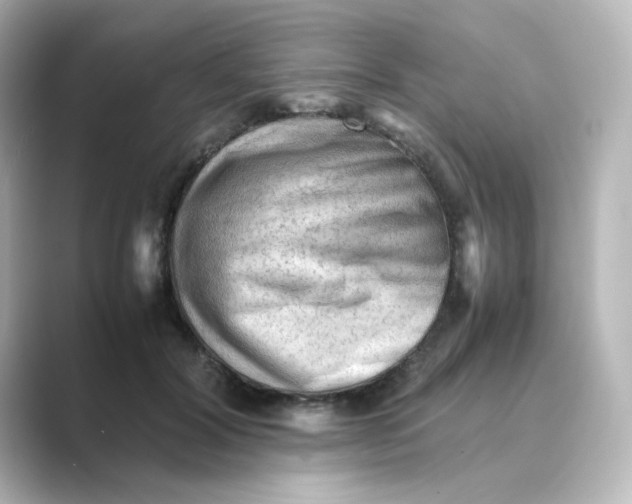 X0000088740604200706212058