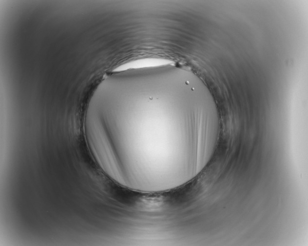 X0000088740606200706212058