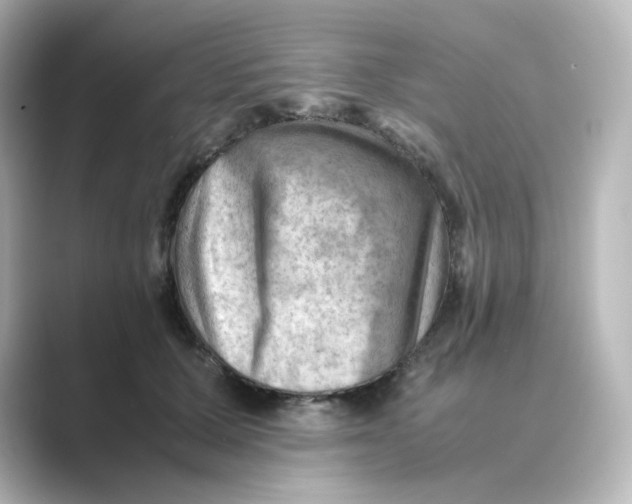 X0000088740607200706212058