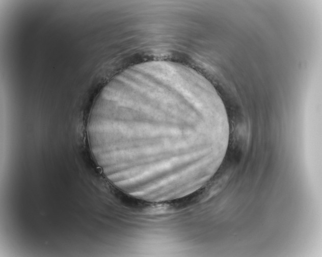X0000088740609200706212058