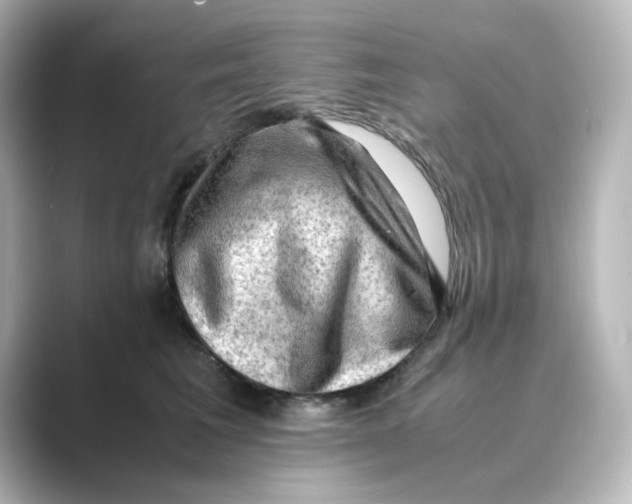 X0000088740613200706212058