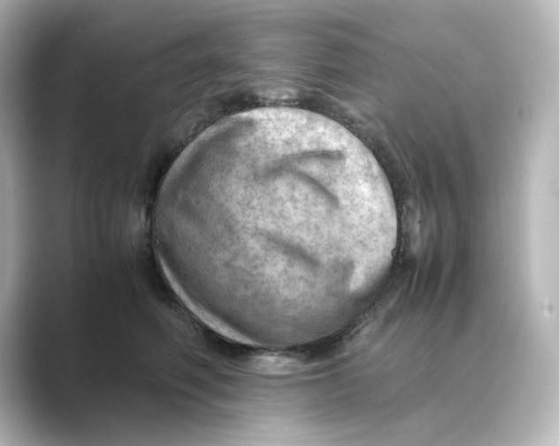 X0000088740614200706212058