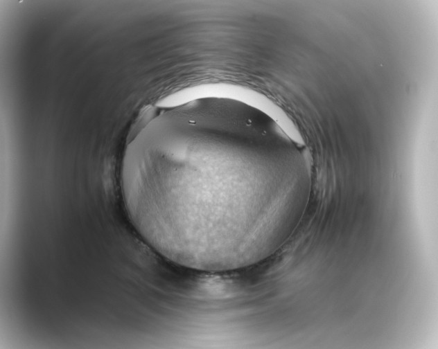 X0000088740616200706212058