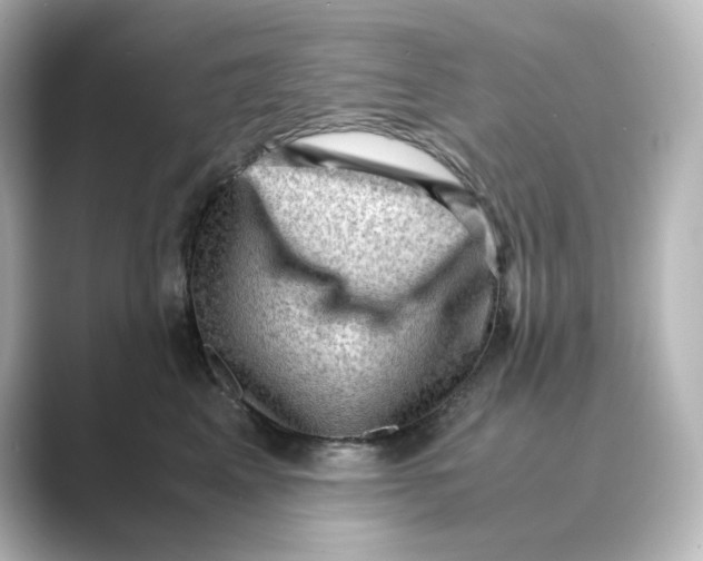 X0000088740617200706212058