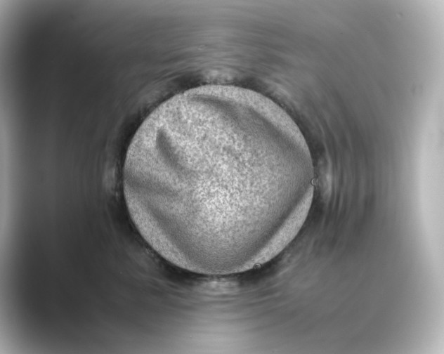 X0000088740619200706212058