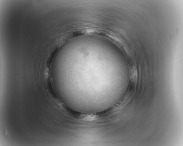 X0000088740621200706212058